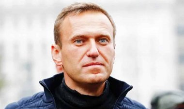 ১৯ পর সন্ধান মিলল ‘নিখোঁজ’ নাভালনির