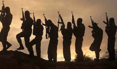  নাইজেরিয়ায় দফায় দফায় হামলা, নিহত ১৬০