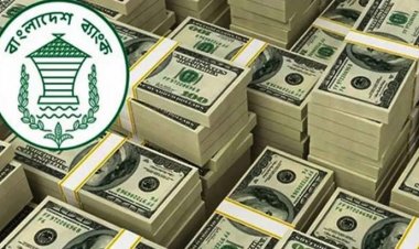 ফিরে দেখা ২০২৩: রিজার্ভ তলানিতে, ভেঙে চূর্ণ ঋণশৃঙ্খলা