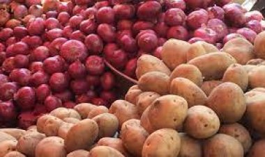 মৌসুমেও বাড়ছে চাল-আলুর দাম