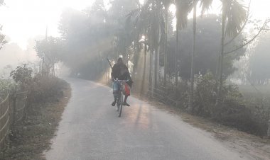 ফের ঘন কুয়াশার চাদরে পঞ্চগড়, ১১.৩ ডিগ্রি তাপমাত্রা রেকর্ড