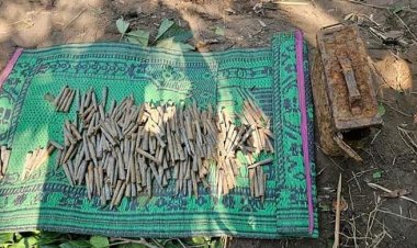 বাঁশবাগানে মাটি খুঁড়তেই মিললো ৩৪০ পিস গুলি