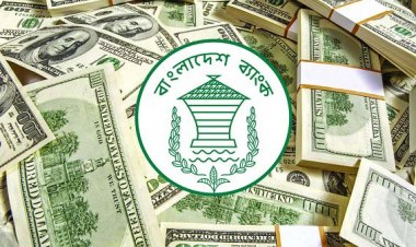 রিজার্ভ চুরি: প্রতিবেদন জমার তারিখ পেছালো ৭৬ বার