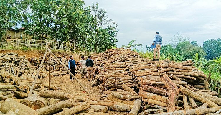 কয়লার বদলে কাঠ, ২ ইটভাটাকে দেড় লাখ টাকা জরিমানা