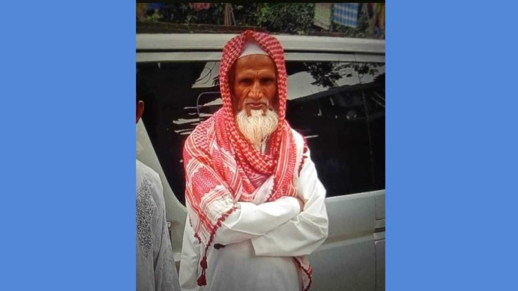 মোবাইলে কথা বলতে বলতে ফেরি থেকে নদীতে পড়ে নিখোঁজ বৃদ্ধ