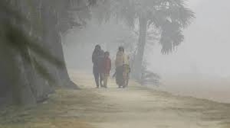 শীতে কাঁপছে ঠাকুরগাঁও, তাপমাত্রা ১১ ডিগ্রি সেলসিয়াস