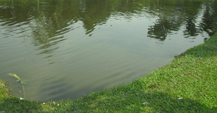 কুড়িগ্রামে পুকুরে ডুবে দুই শিশুর মৃত্যু