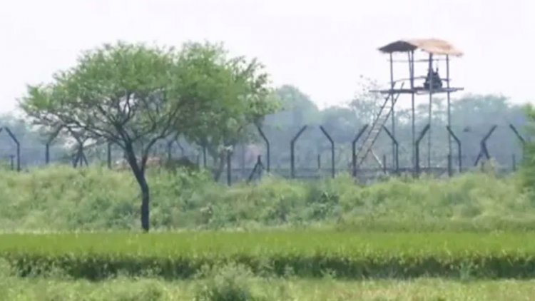 গোদাগাড়ী সীমান্তে মিলল দুই যুবকের মরদেহ