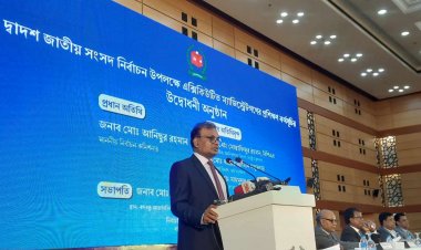 নির্বাচন সুষ্ঠু না হলে বিচ্ছিন্ন হয়ে যেতে পারি : ইসি আনিছুর