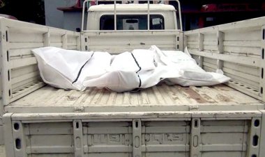 নিয়ন্ত্রণ হারিয়ে গাছের সঙ্গে পিকআপের ধাক্কা, নিহত ৩