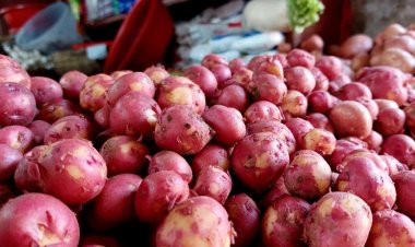 ভরা মৌসুমেও আলুর দামে অস্থিরতা কাটছে না