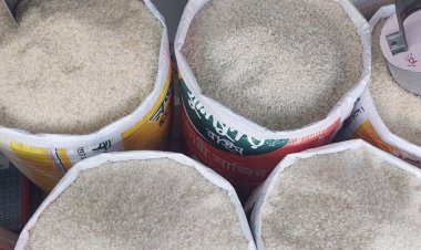 আমনের ভরা মৌসুমেও বাড়ছে চালের দাম