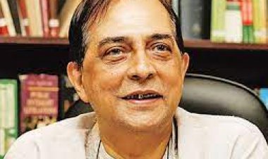 আগামী কয়েক বছরে হয়তো গণতন্ত্রের গ-ও থাকবে না: শাহদীন মালিক