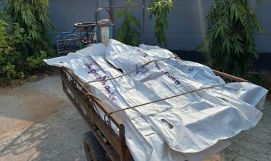 পাবনায় ৩ জনকে পিটিয়ে হত্যা