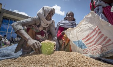 ইথিওপিয়ায় না খেতে পেয়ে ৮৬০ জনের মৃত্যু
