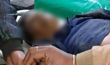  ফরিদপুরে ট্রাকচাপায় একজন নিহত