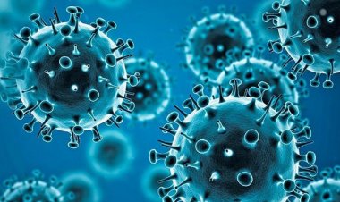 ডিসেম্বরে করোনায় প্রায় ১০ হাজার মানুষের মৃত্যু