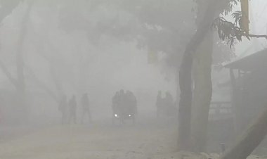 আর কতদিন কুয়াশা থাকবে জানাল আবহাওয়া অফিস