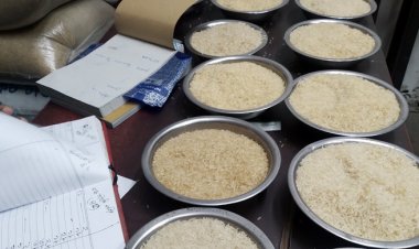 ভরা মৌসুমে বাড়ছে চালের দাম