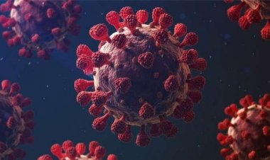 করোনায় একজনের মৃত্যু, শনাক্ত ২১