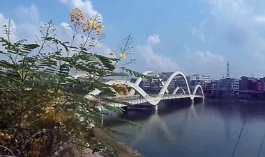 হাতিরঝিলের পানিতে উৎকট গন্ধ, রাজউকের ঢিলেমি