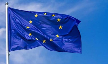 ৭ জানুয়ারির নির্বাচনে ভোটের হার জানতে চেয়েছে ইউরোপীয় ইউনিয়ন