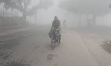 শ্রীমঙ্গলে দেশের সর্বনিম্ন তাপমাত্রার রেকর্ড, আরও বাড়তে পারে শীত