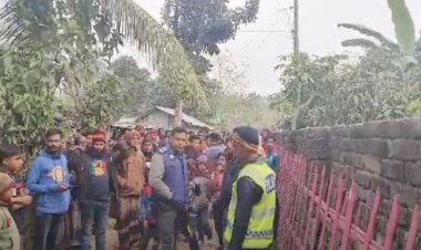 মহেশপুরে গুলি করে চাচা-ভাতিজাকে হত্যা