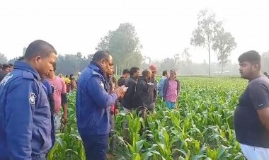 ভুট্টাখেতে মিলল নিখোঁজ ভ্যানচালকের গলাকাটা মরদেহ  