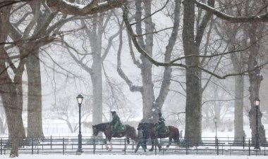 ঠান্ডা ও শীতকালীন ঝড়ে যুক্তরাষ্ট্রে ৫৫ জনের মৃত্যু