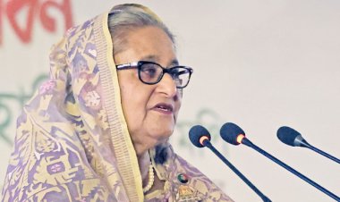  আমার গ্রামে দেখলাম, মোটামুটি সবাই দালান বানাচ্ছে: প্রধানমন্ত্রী