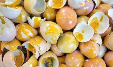 বেকারিতে মিলল ৮ হাজার পচা ডিম