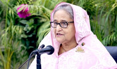 বিদেশি অর্থায়নের প্রকল্পে বেশি নজর দিতে হবে: প্রধানমন্ত্রী