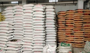 এক ব্যবসায়ীর তিন গুদাম থেকে আড়াই কোটি টাকার খাদ্যপণ্য জব্দ