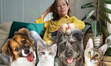 সন্তানদের পরিবর্তে পোষ্য প্রাণীদের জন্য মিলিয়ন ডলারের সম্পদ রেখে গেলেন চীনা নারী