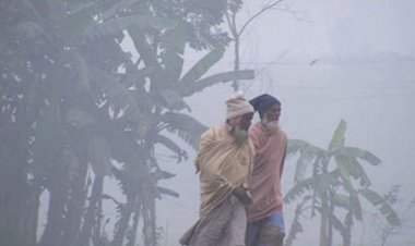  ২২ জেলায় বইছে শৈত্যপ্রবাহ, তাপমাত্রা কমতে পারে
