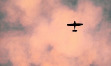  ব্রাজিলে ছোট প্লেন বিধ্বস্ত হয়ে নিহত ৭     