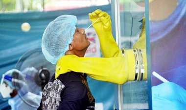 ৫৩ জনের করোনা শনাক্ত