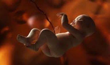 মাতৃগর্ভের শিশুর লিঙ্গ প্রকাশ করা যাবে না