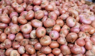 আবার সেঞ্চুরির ঘরে পেঁয়াজ