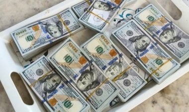 ৭৬ হাজার ডলারসহ ভারত থেকে আসা যাত্রী আটক