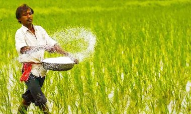  ৬০ হাজার টন ইউরিয়া কিনবে সরকার, ব্যয় ২২৪ কোটি টাকা