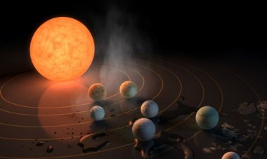 সৌরজগতে নতুন নক্ষত্রের সন্ধান পেলেন বিজ্ঞানীরা