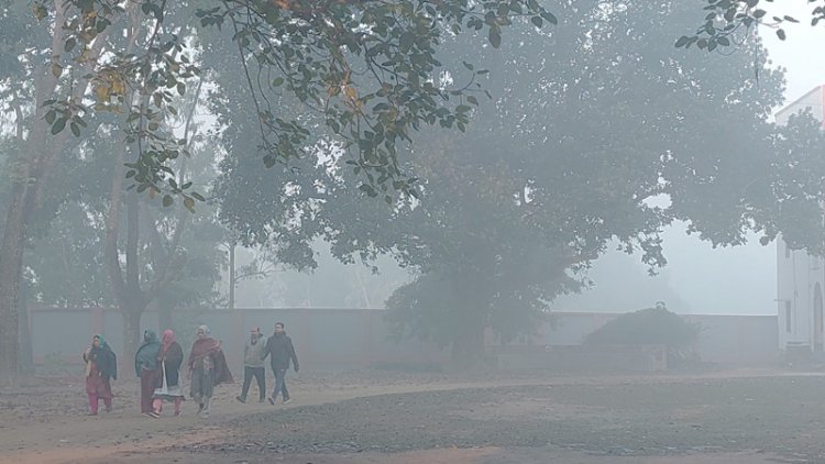 পঞ্চগড়ে মৃদু শৈত্যপ্রবাহ