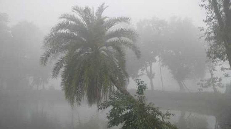 চুয়াডাঙ্গায় দেশের সর্বোনিম্ন তাপমাত্রা ৬.৬ ডিগ্রি