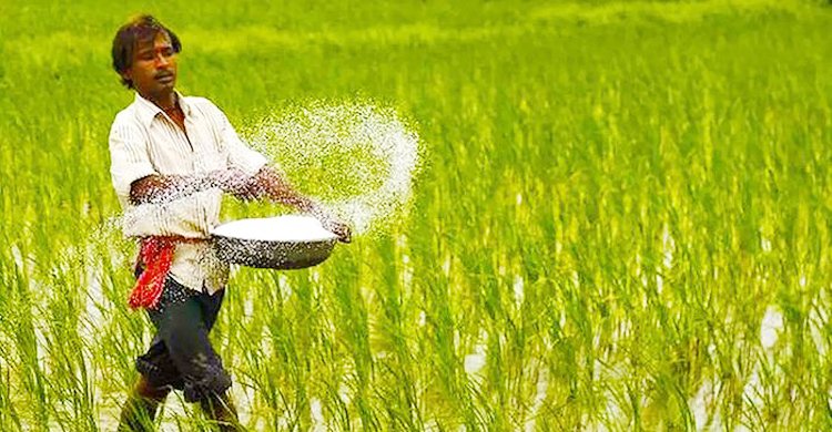 ৬০ হাজার টন ইউরিয়া কিনবে সরকার, ব্যয় ২২৪ কোটি টাকা