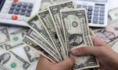 ৭ সপ্তাহে ডলারের দর সর্বোচ্চ