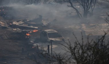  চিলিতে ভয়াবহ দাবানল, নিহত বেড়ে ৫১