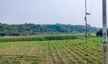  পালিয়ে বাংলাদেশে আশ্রয় নিয়েছেন মিয়ানমারের ১৪ বিজিপি সদস্য