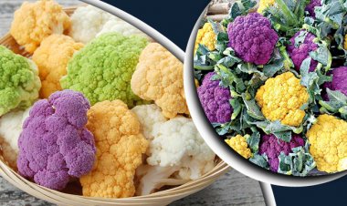  সাদা নাকি রঙিন ফুলকপি, কোনটিতে বেশি পুষ্টি?